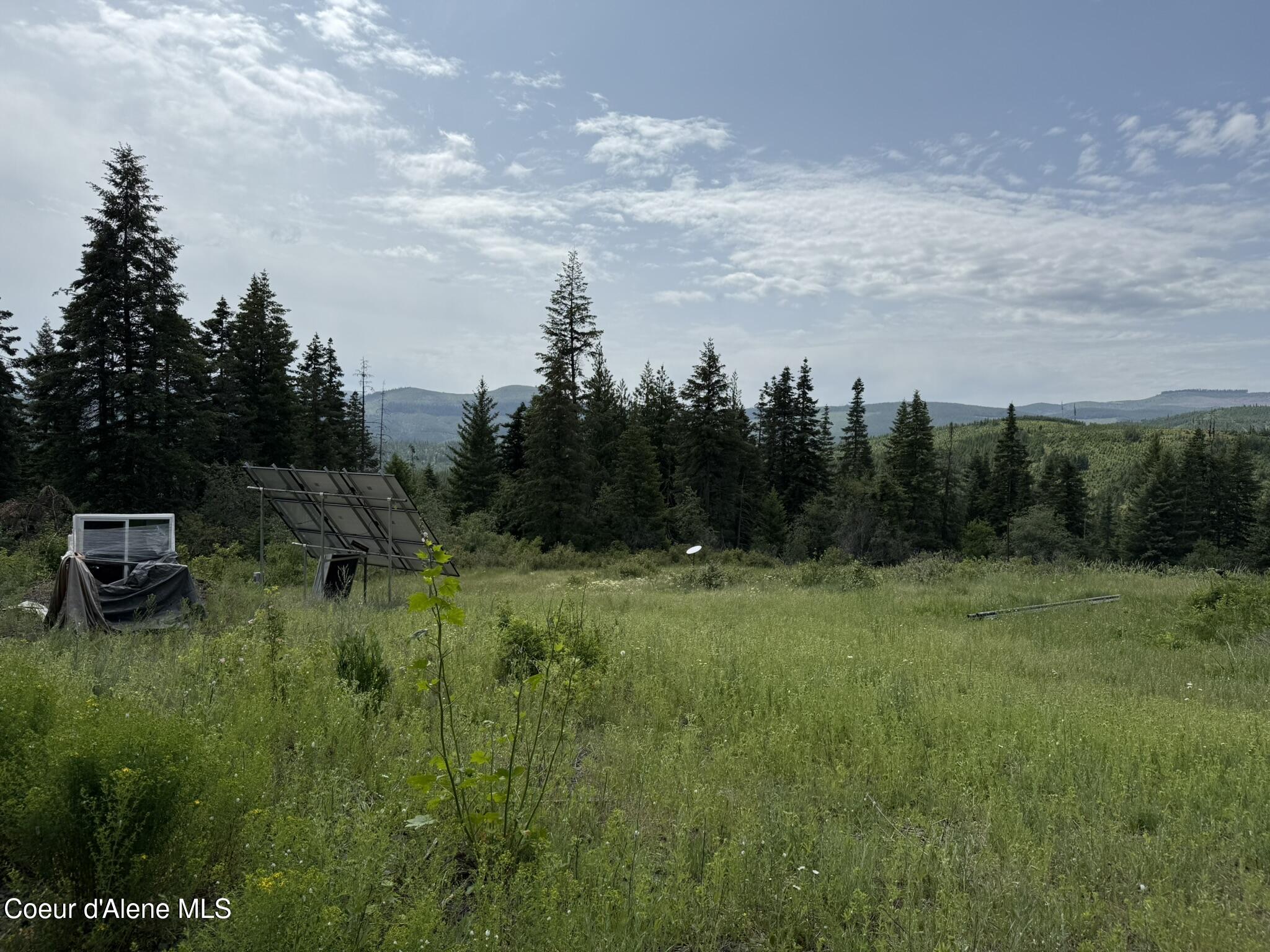 Tbd Tbd St. Maries, ID 83861 - Photo 17 of 42 IMG_6658