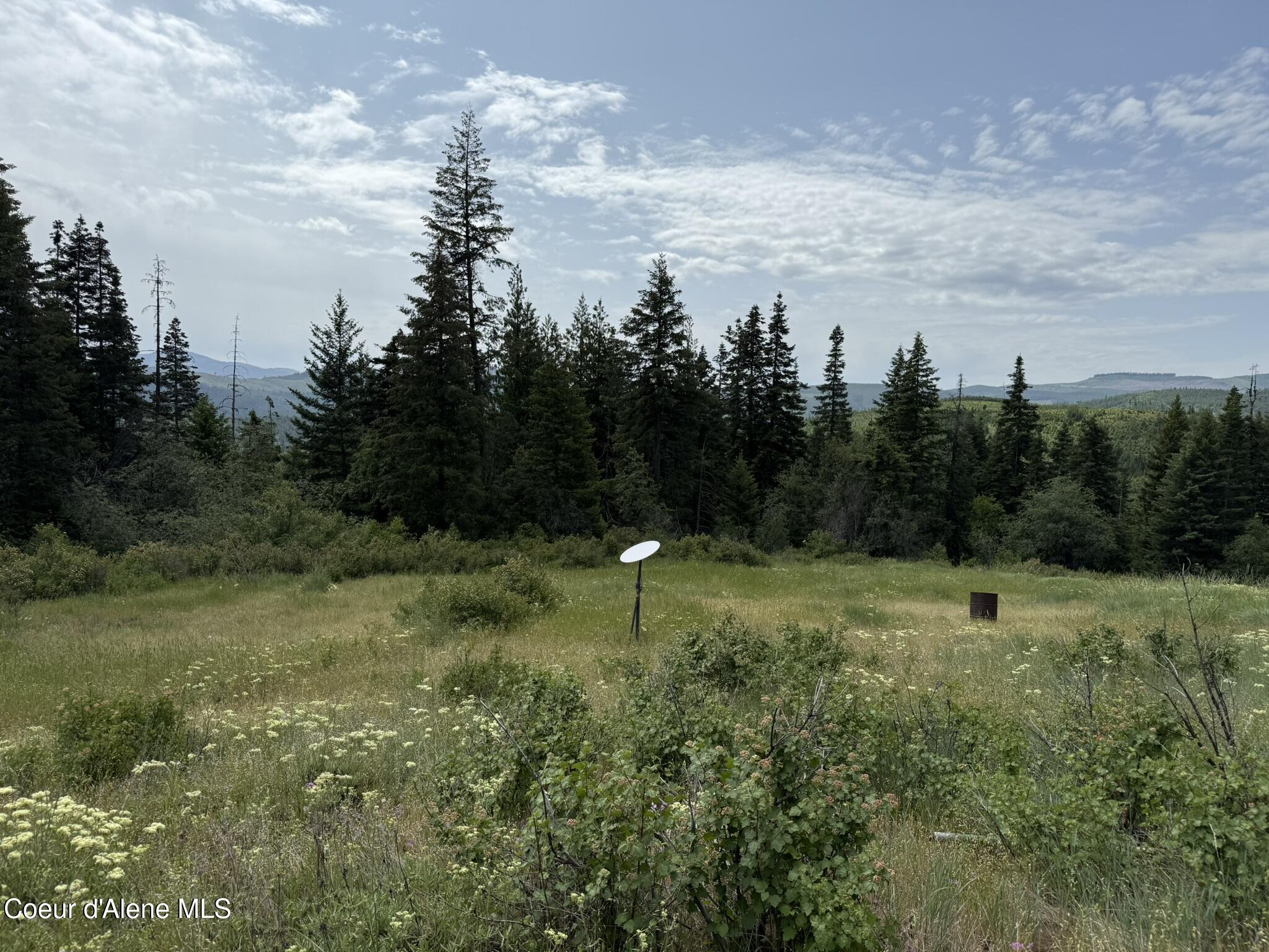 Tbd Tbd St. Maries, ID 83861 - Photo 20 of 42 IMG_6662