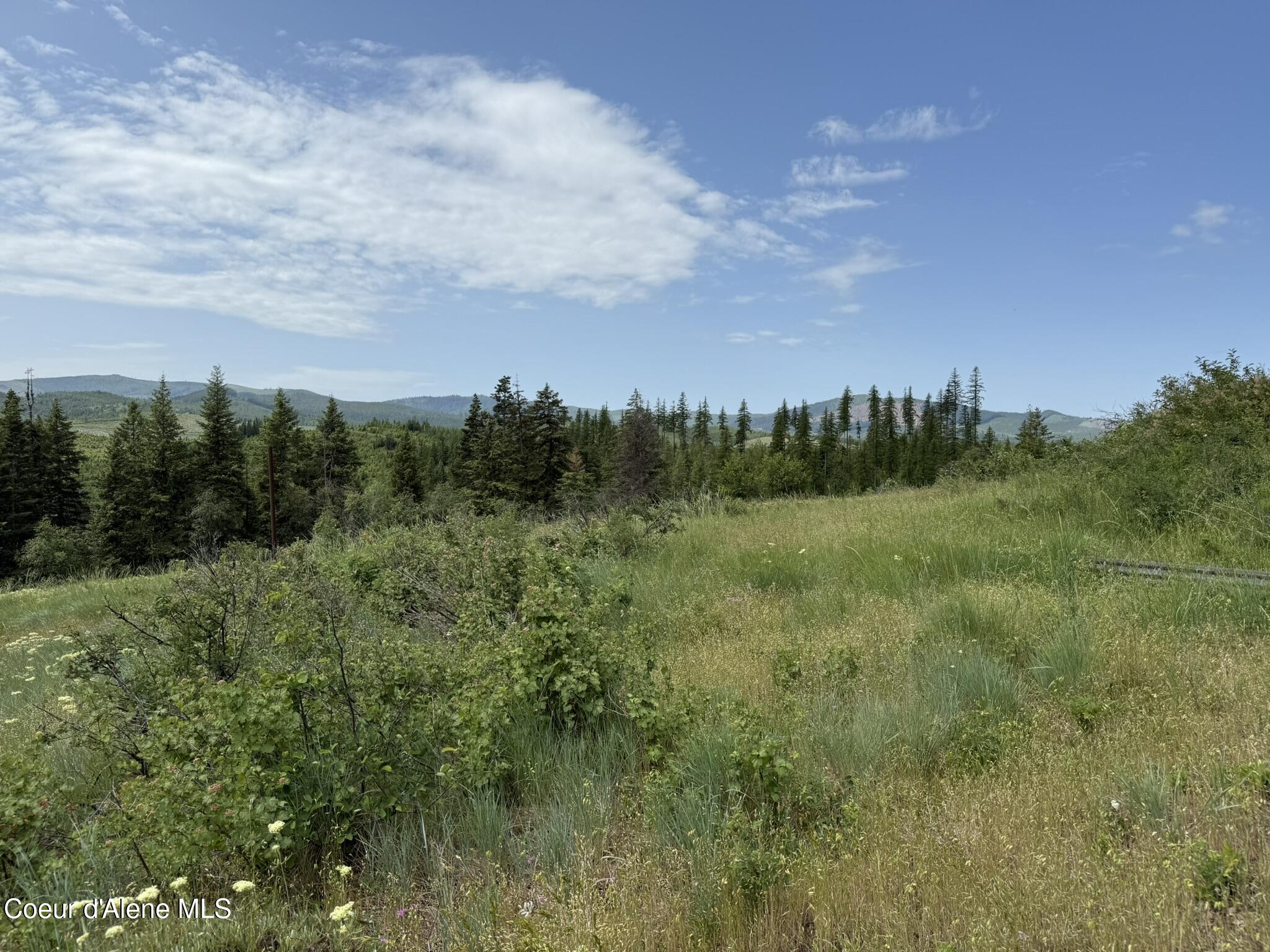 Tbd Tbd St. Maries, ID 83861 - Photo 21 of 42 IMG_6664