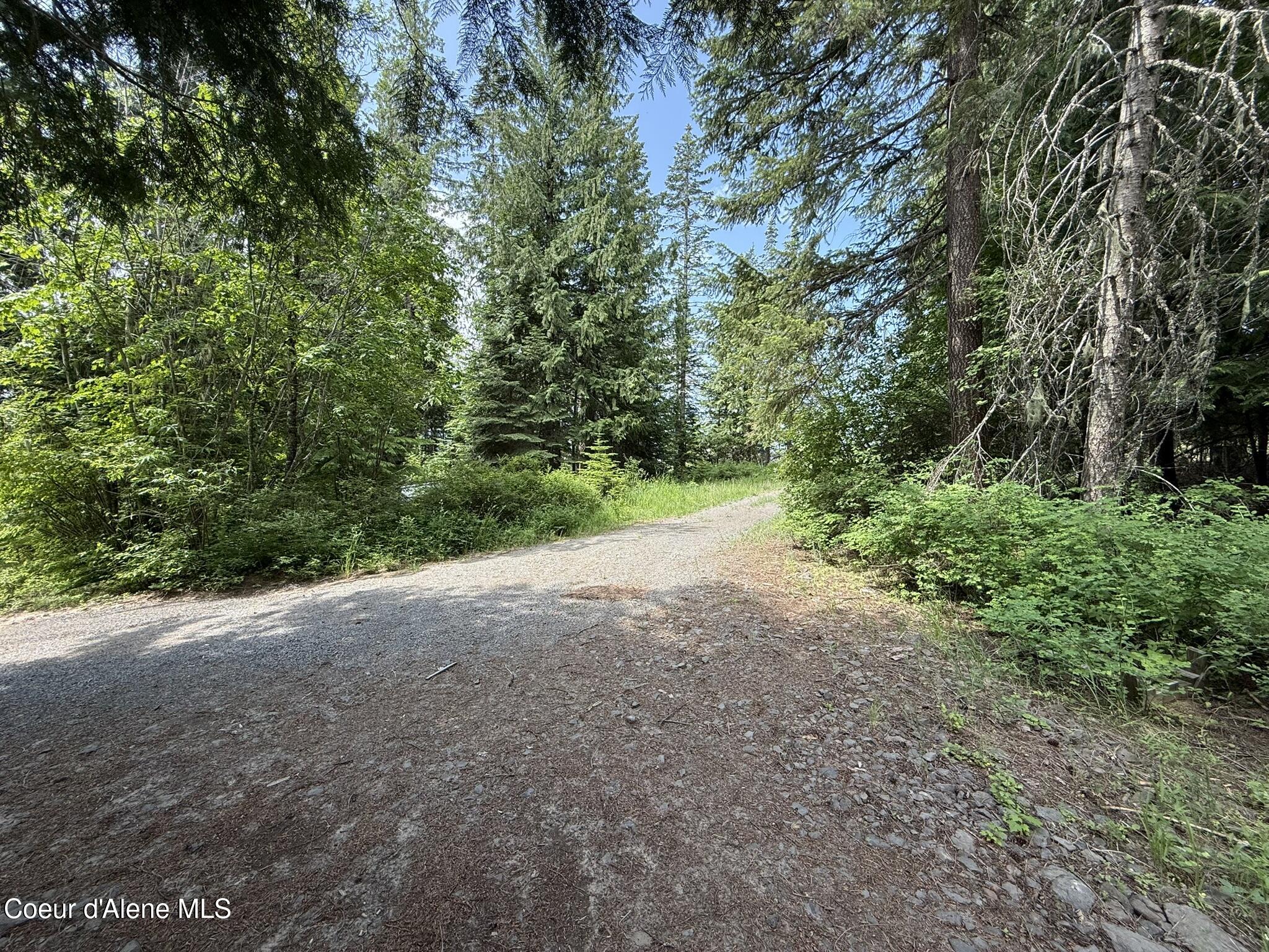 Tbd Tbd St. Maries, ID 83861 - Photo 24 of 42 IMG_6670