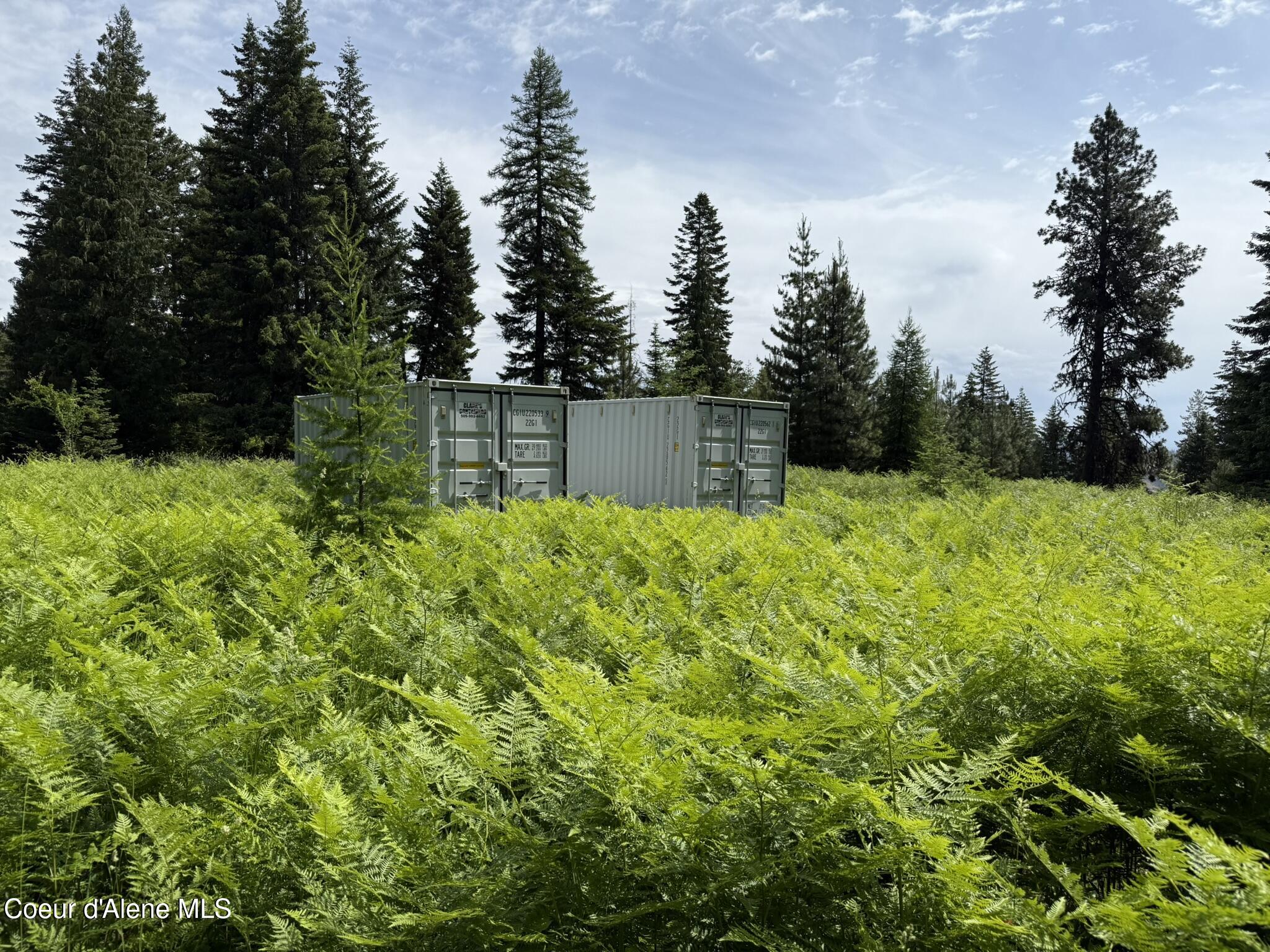 Tbd Tbd St. Maries, ID 83861 - Photo 25 of 42 IMG_6671