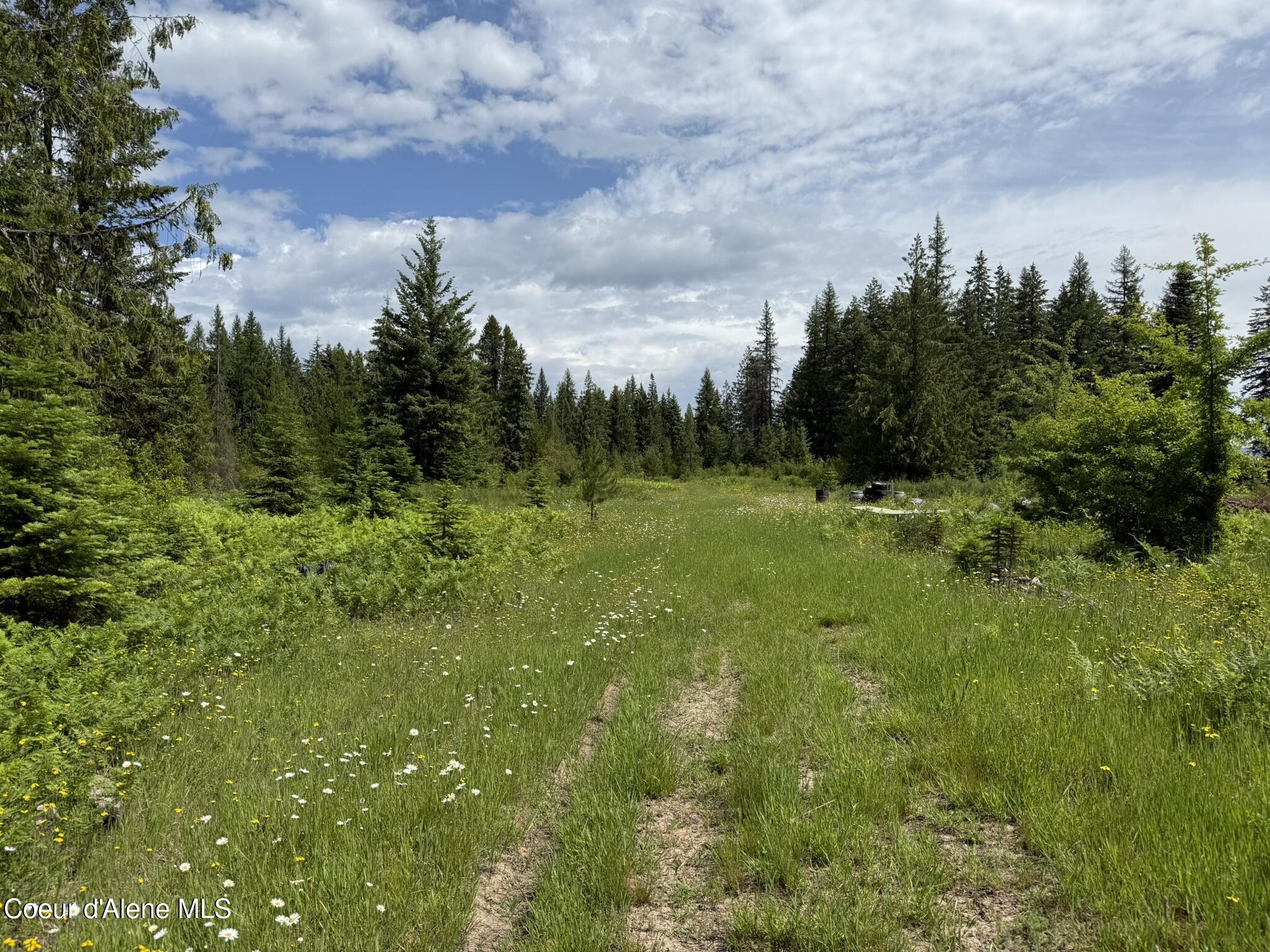 Tbd Tbd St. Maries, ID 83861 - Photo 27 of 42 IMG_6675