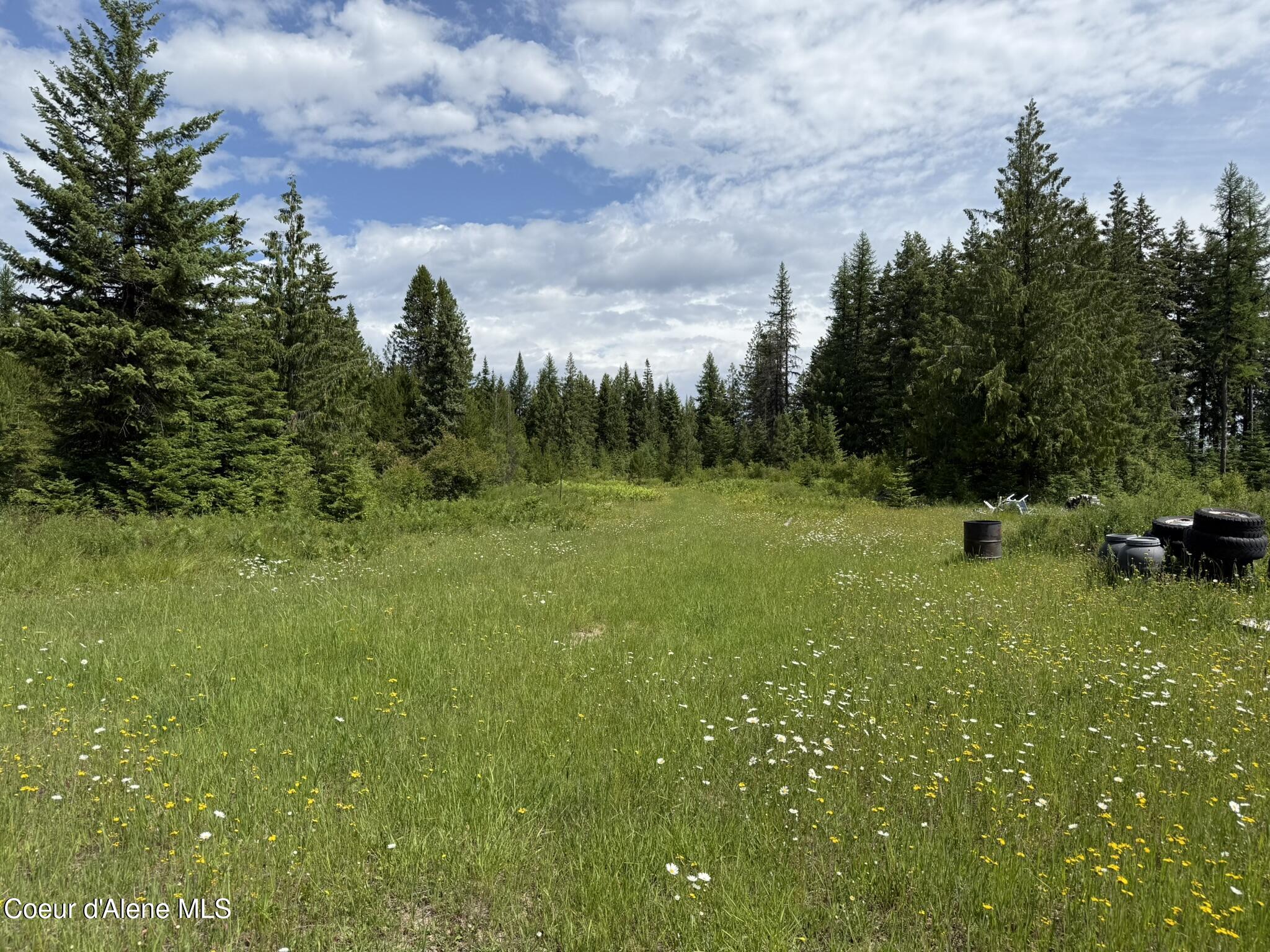Tbd Tbd St. Maries, ID 83861 - Photo 29 of 42 IMG_6678
