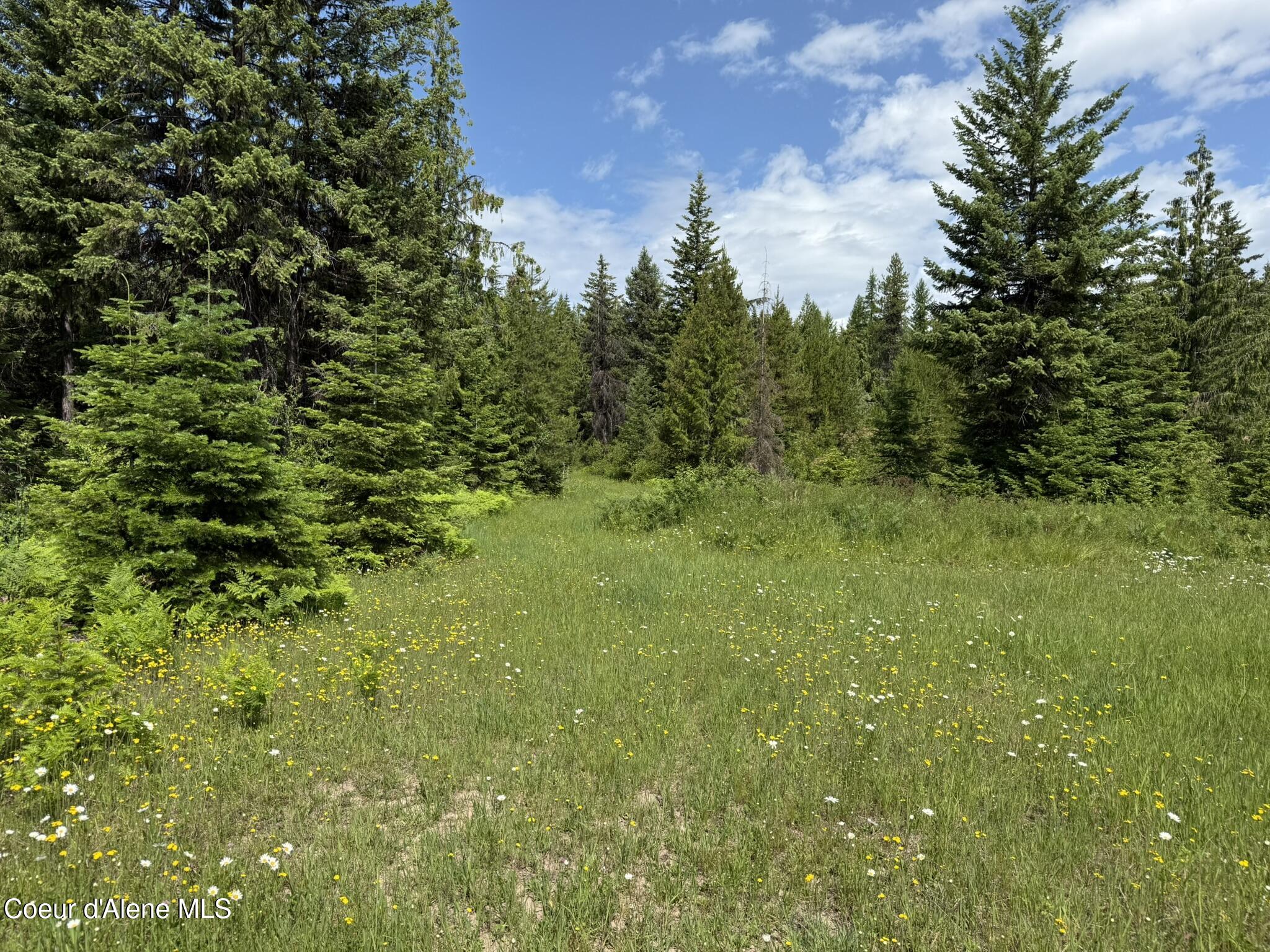Tbd Tbd St. Maries, ID 83861 - Photo 30 of 42 IMG_6677