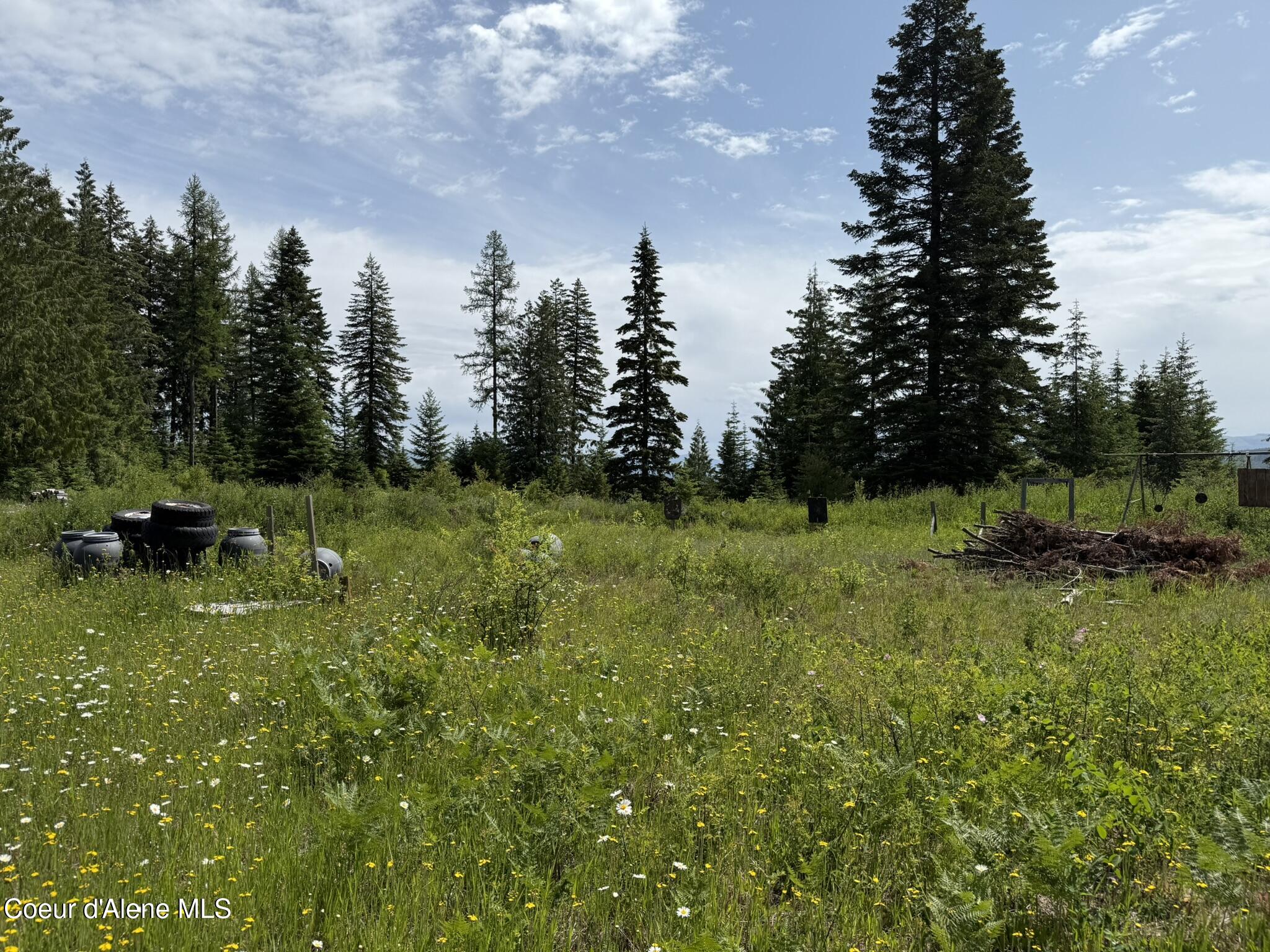 Tbd Tbd St. Maries, ID 83861 - Photo 31 of 42 IMG_6679