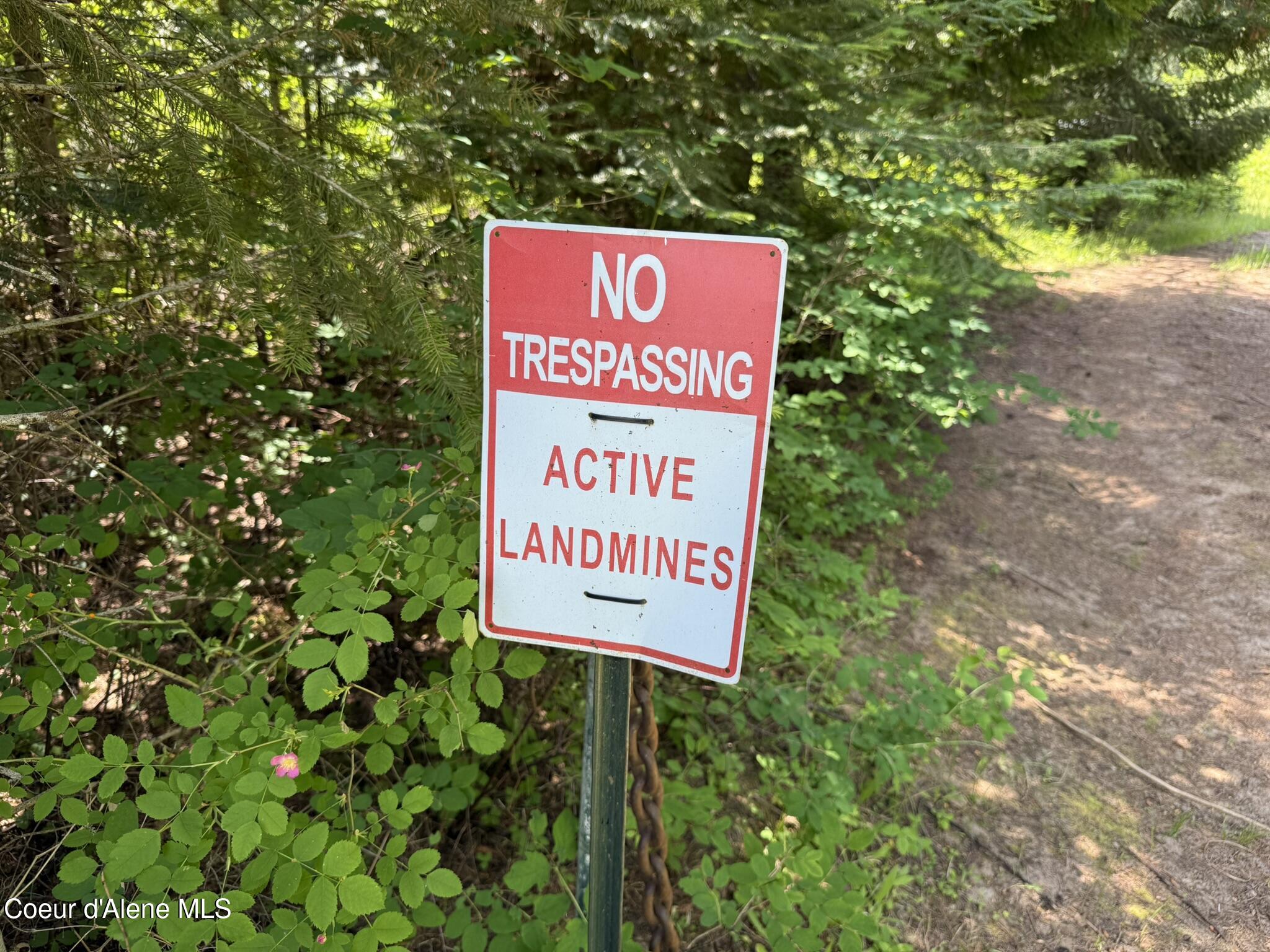 Tbd Tbd St. Maries, ID 83861 - Photo 32 of 42 IMG_6681