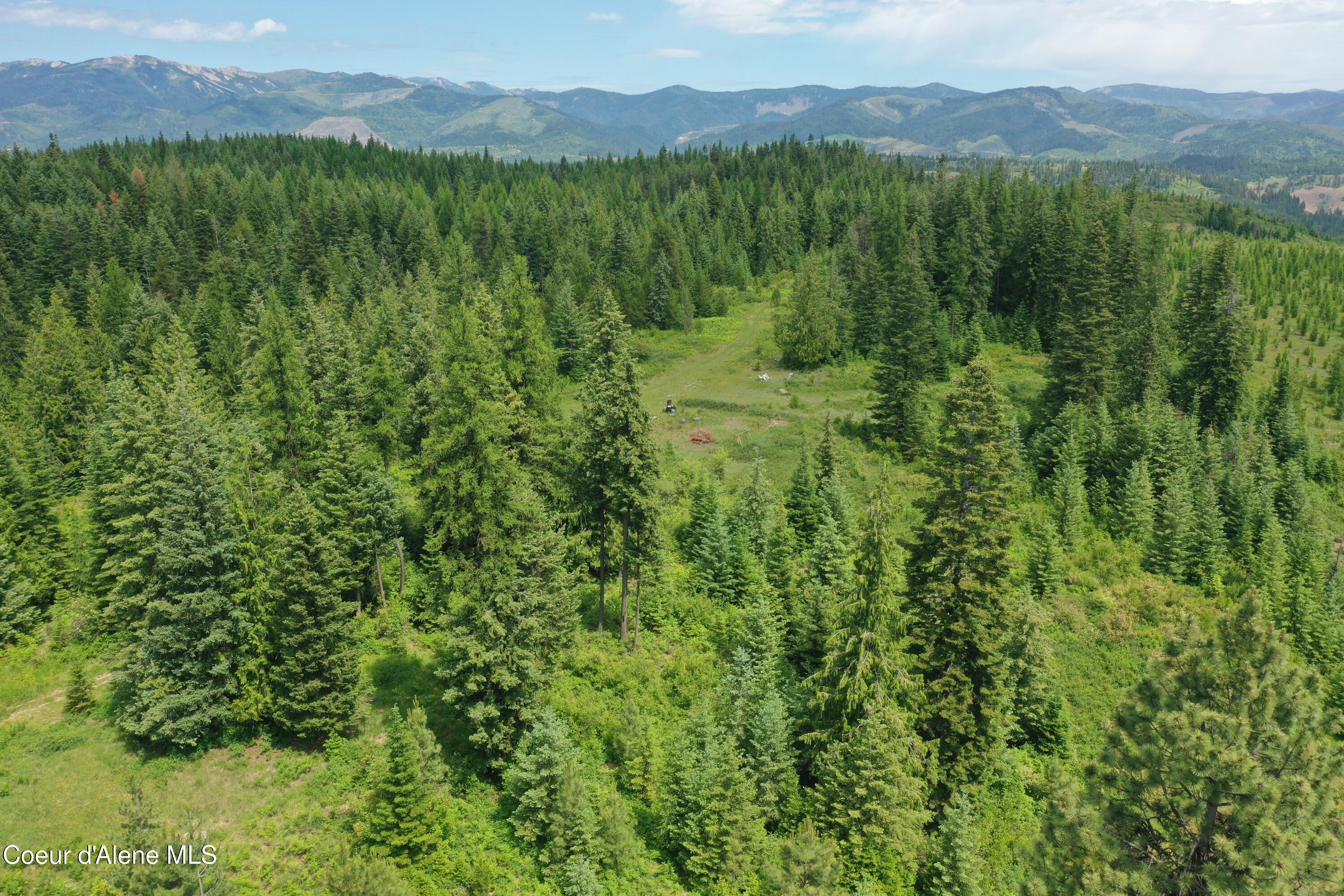 Tbd Tbd St. Maries, ID 83861 - Photo 5 of 42 DJI_0971