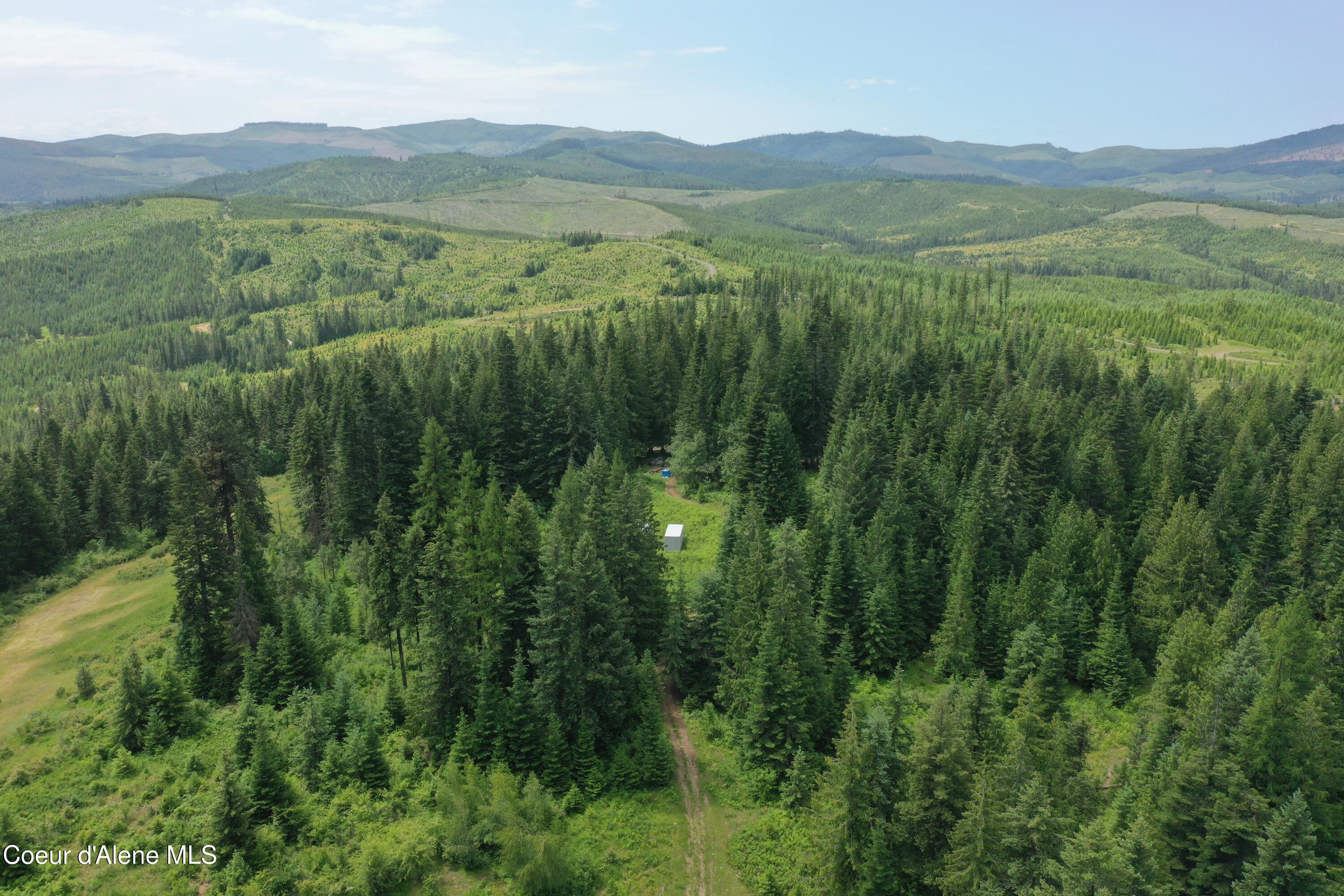Tbd Tbd St. Maries, ID 83861 - Photo 7 of 42 DJI_0974