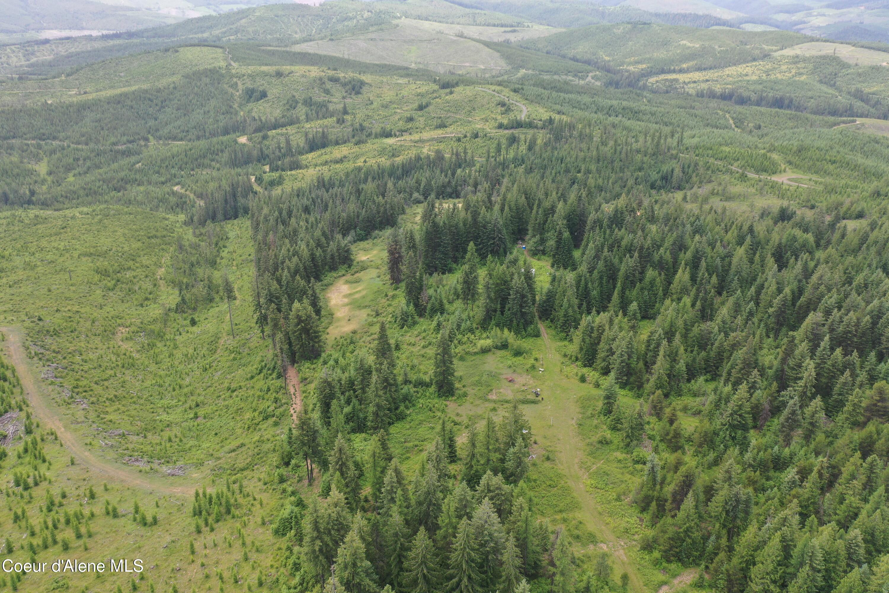 Tbd Tbd St. Maries, ID 83861 - Photo 9 of 42 DJI_0978