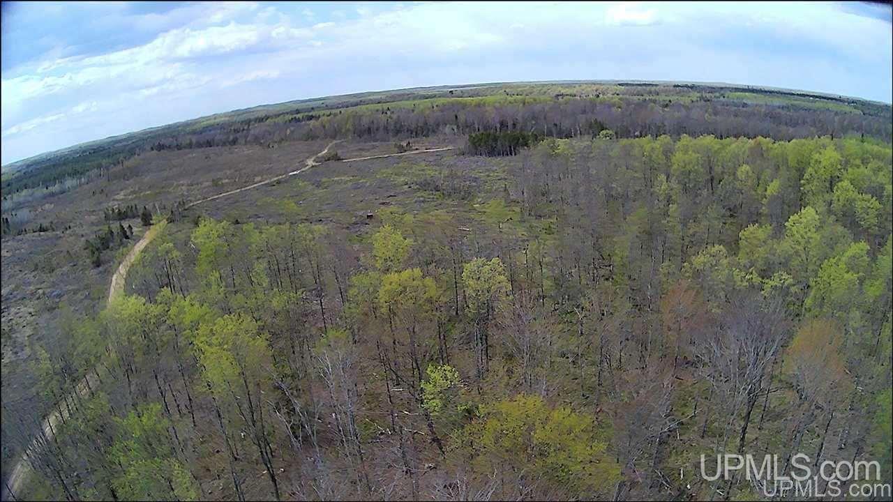 Tbd Tbd Truax Road, Unit 1 Cornell, MI 49818 - Photo 19 of 43