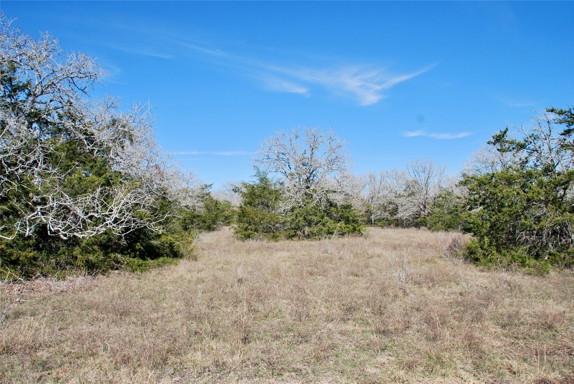 1485 Davis Road West Point, TX 78963 - Photo 12 of 28 a view of an outdoor space with a lake view