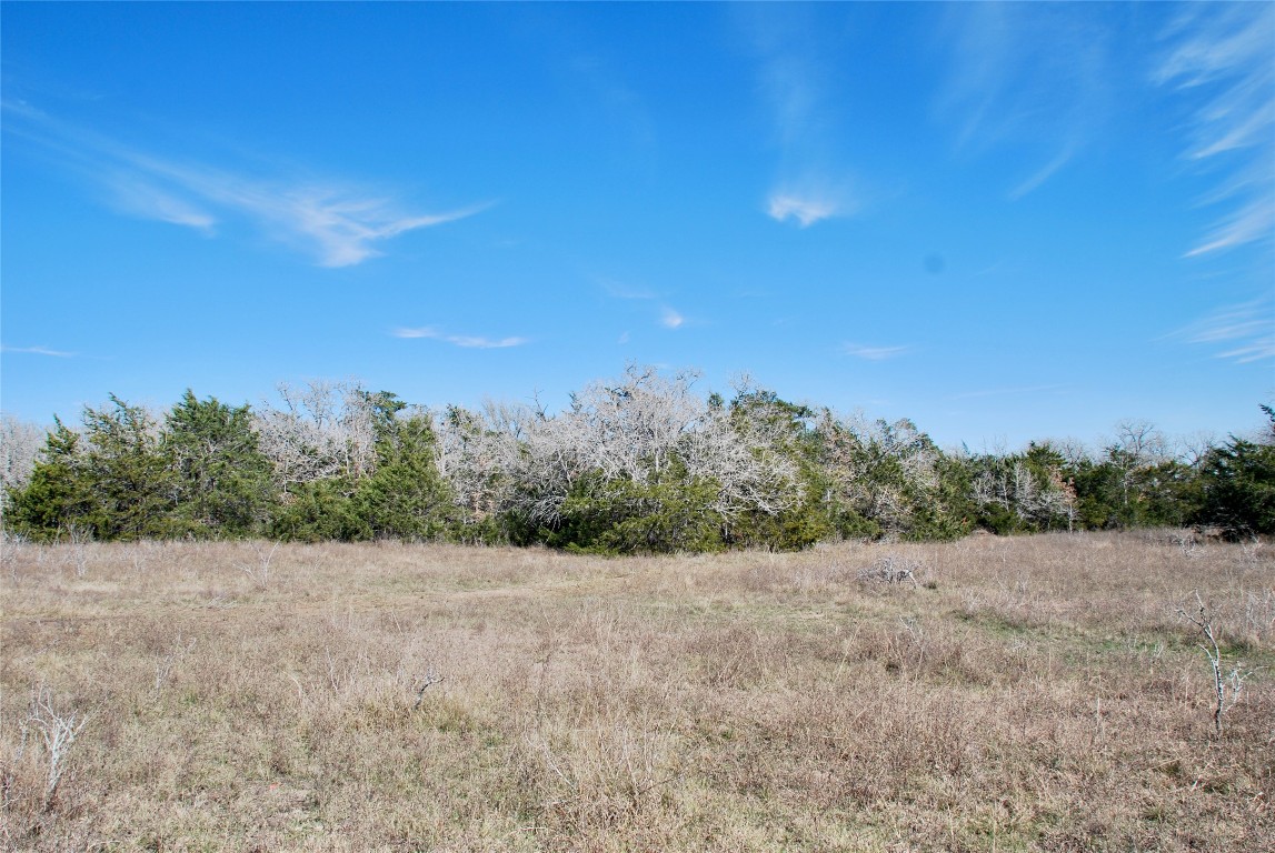 1485 Davis Road West Point, TX 78963 - Photo 13 of 28 a view of a field with a tree in the background