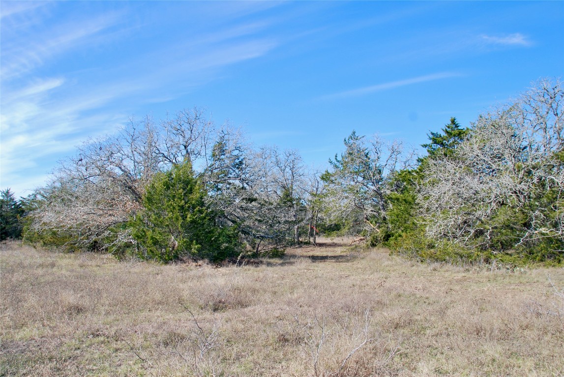 1485 Davis Road West Point, TX 78963 - Photo 15 of 28 a view of a field with an trees