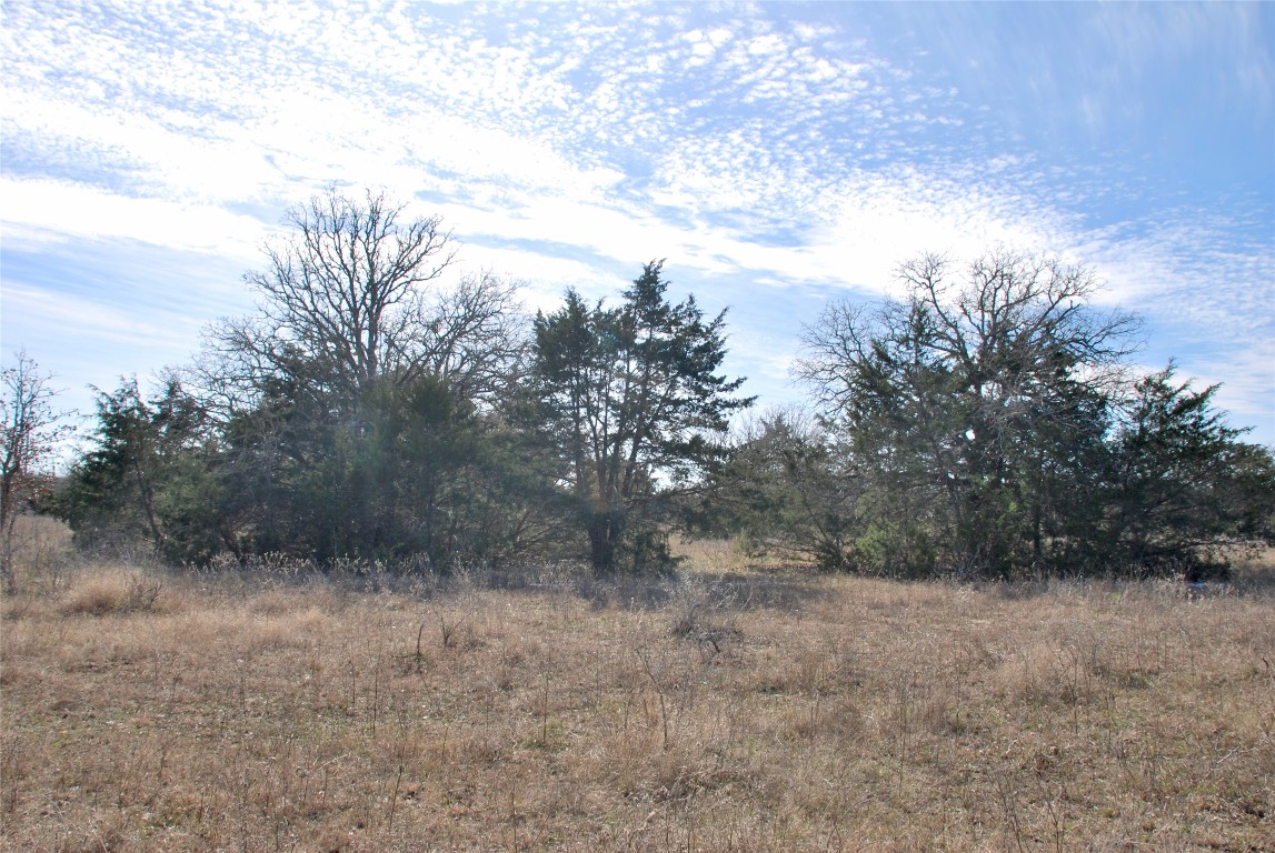 1485 Davis Road West Point, TX 78963 - Photo 17 of 28 a view of a dry yard