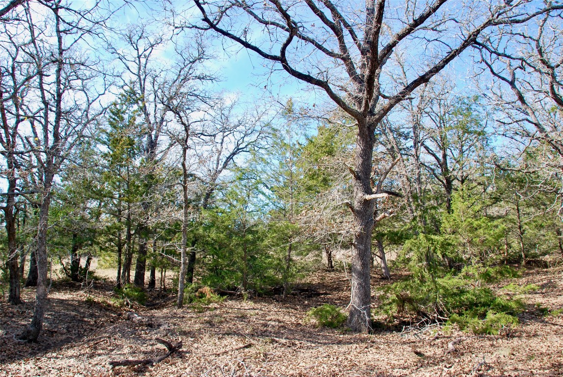 1485 Davis Road West Point, TX 78963 - Photo 19 of 28