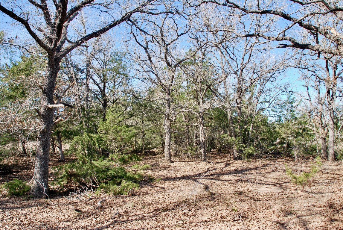 1485 Davis Road West Point, TX 78963 - Photo 20 of 28 a view of outdoor space with deck and tree
