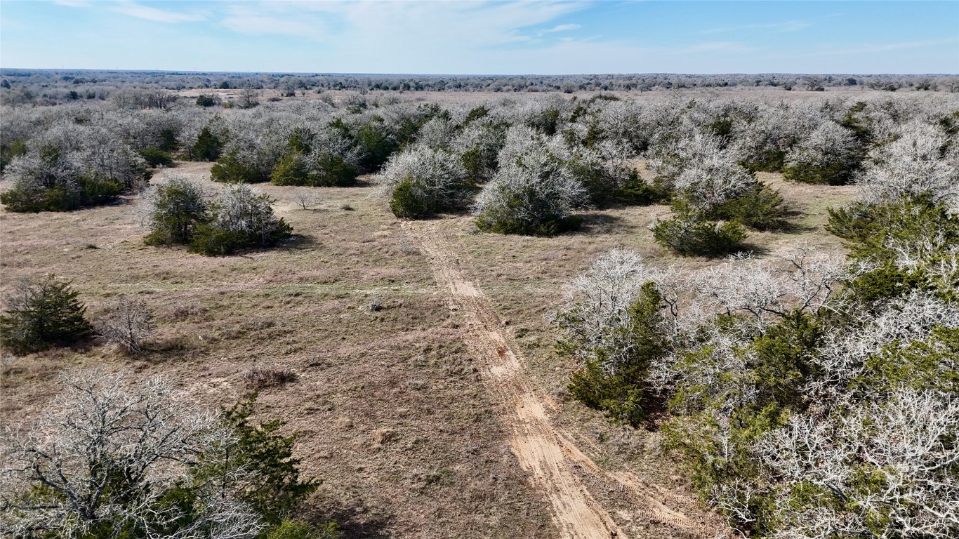 1485 Davis Road West Point, TX 78963 - Photo 2 of 28 a view of a dry space with lots of trees