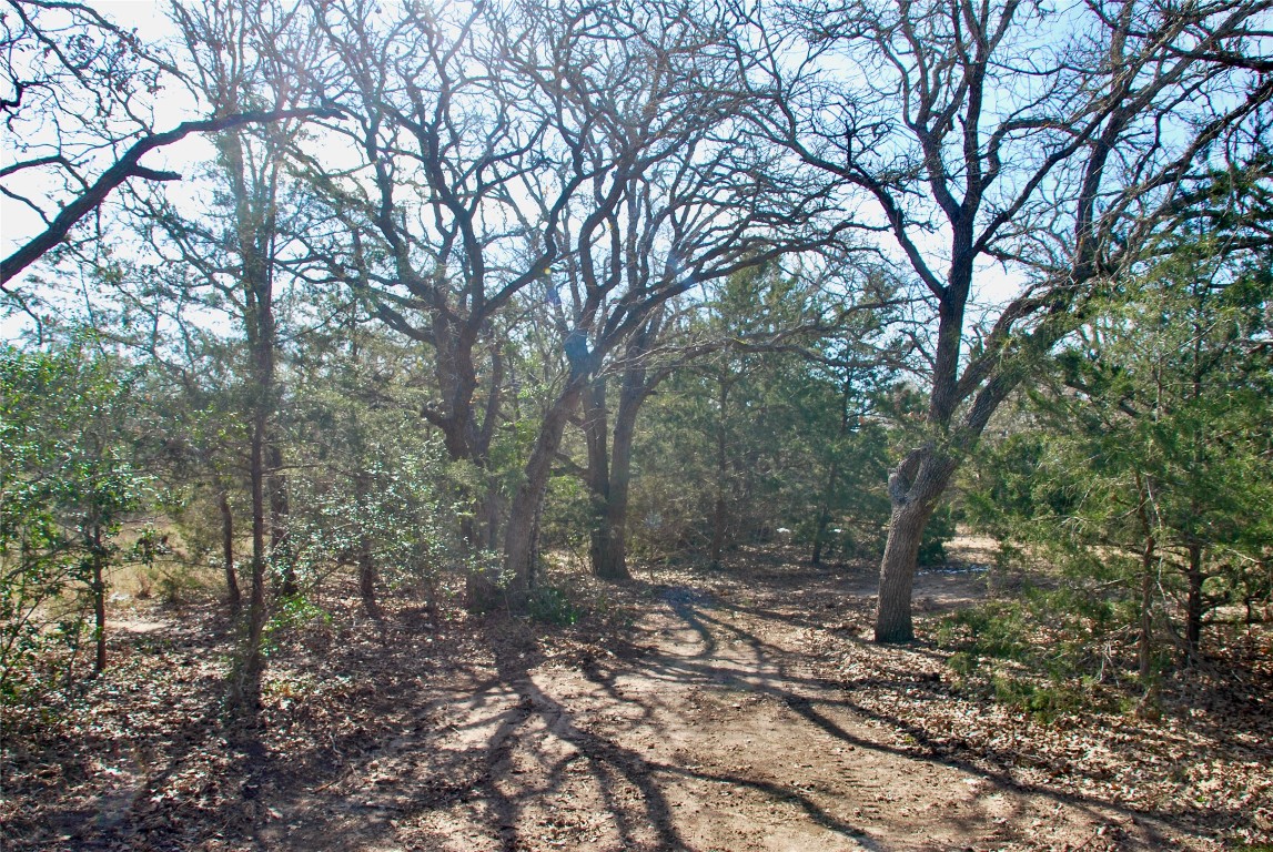 1485 Davis Road West Point, TX 78963 - Photo 6 of 28 a backyard of a house with lots of green space