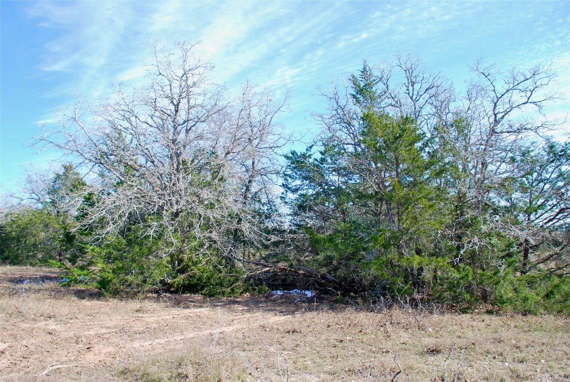 1485 Davis Road West Point, TX 78963 - Photo 10 of 28 a view of outdoor space and trees