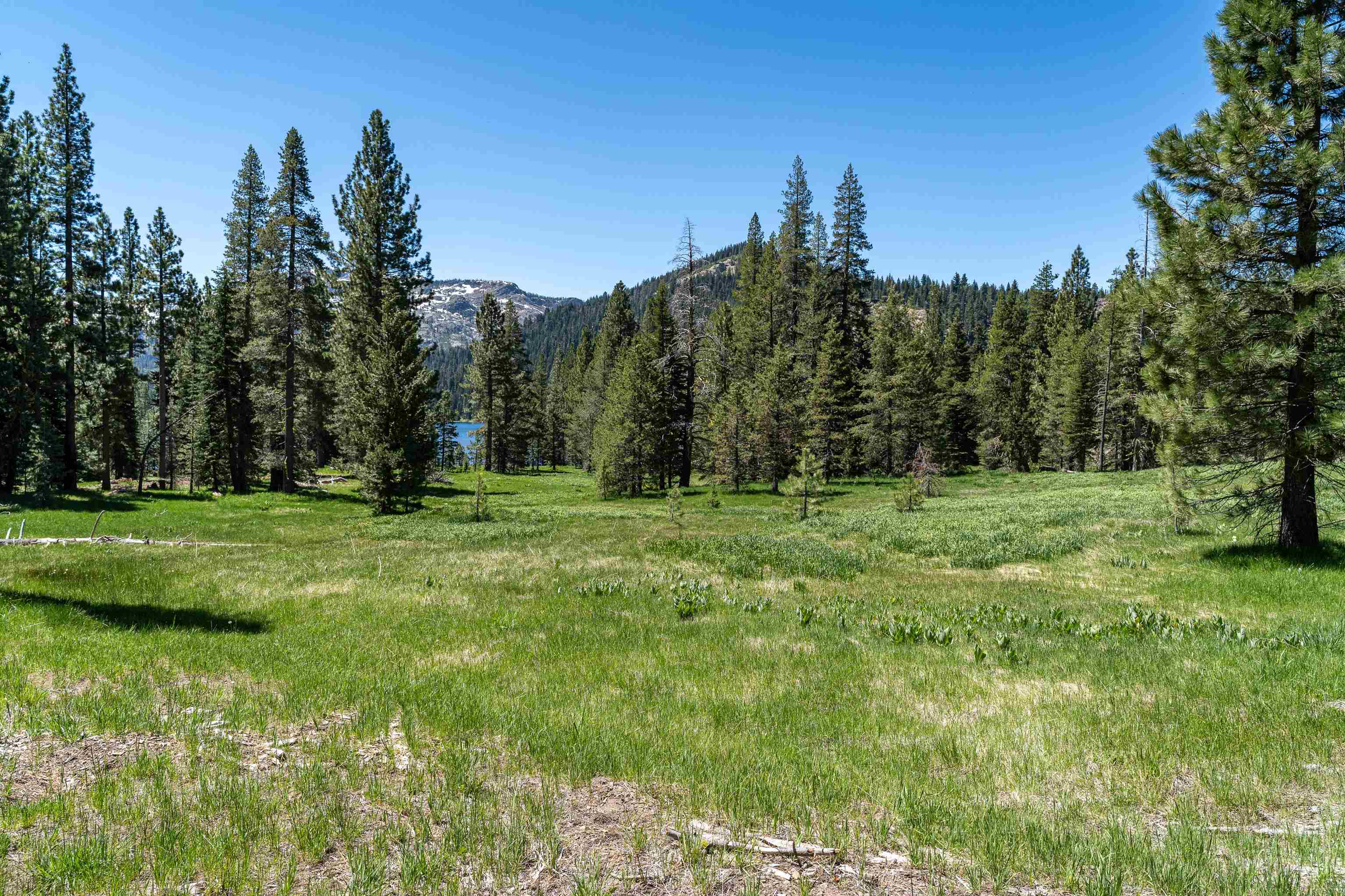Henness Pass Road Sierra City, CA 96125 - Photo 19 of 28