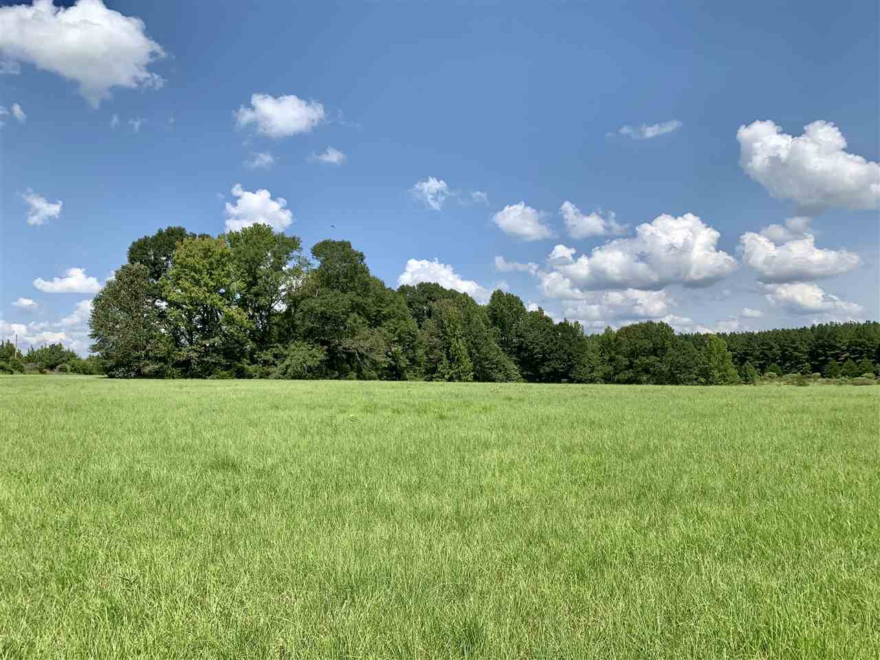 1 Berry Road Utica, MS 39175 - Photo 1 of 30 Photo 1