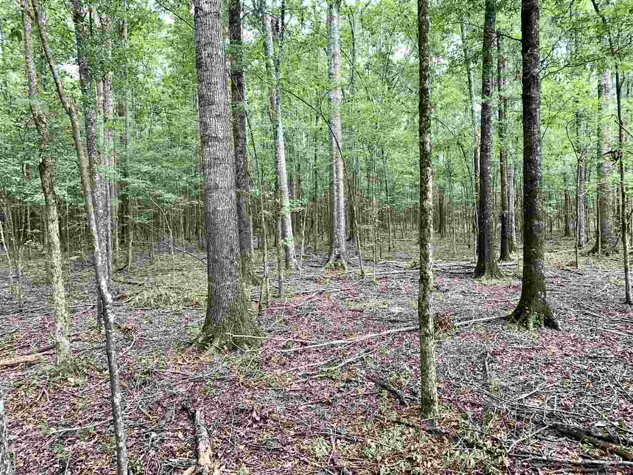 1 Berry Road Utica, MS 39175 - Photo 30 of 30 Photo 33
