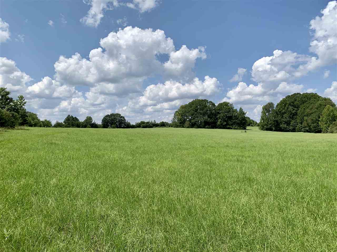 1 Berry Road Utica, MS 39175 - Photo 3 of 30 Photo 3