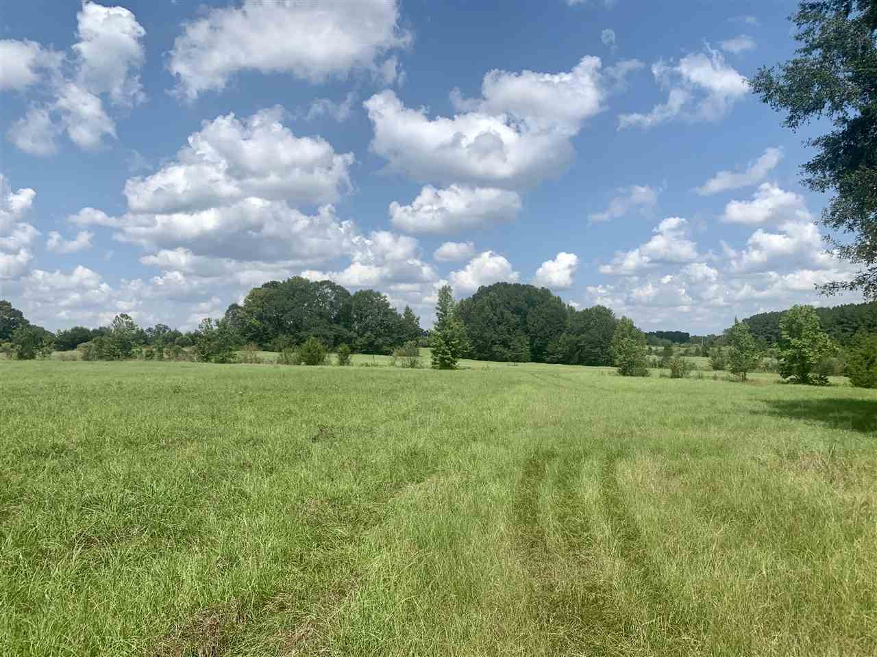 1 Berry Road Utica, MS 39175 - Photo 5 of 30 Photo 5