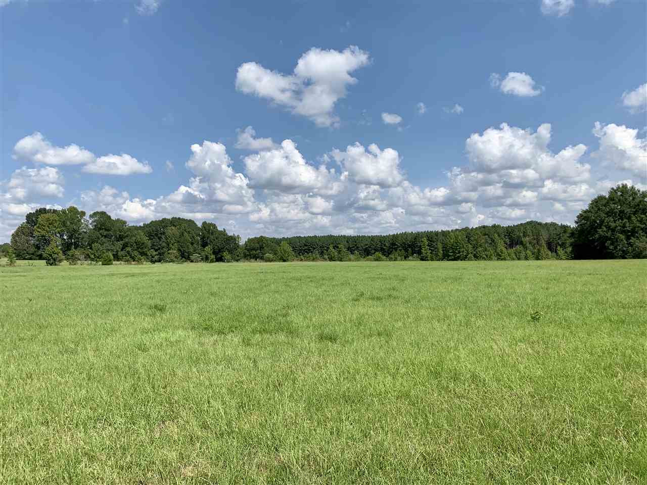 1 Berry Road Utica, MS 39175 - Photo 7 of 30 Photo 7