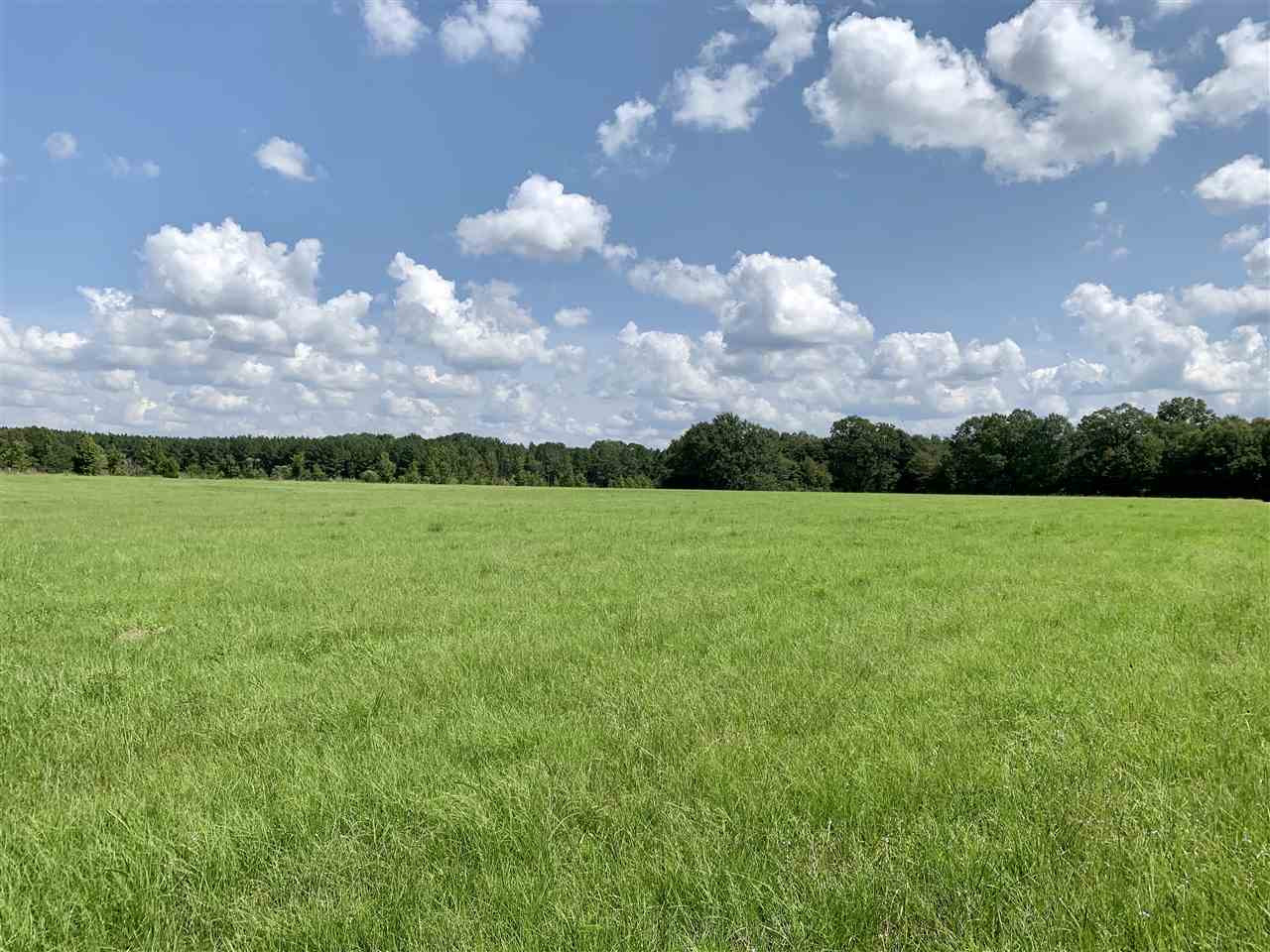 1 Berry Road Utica, MS 39175 - Photo 8 of 30 Photo 8