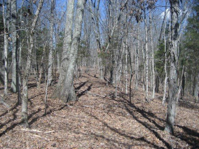 1234 North Rays Fork Road Sadieville, KY 40370 - Photo 9 of 16 Photo 9