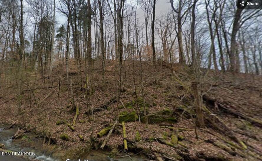 9025 Conner Road Powell, TN 37849 - Photo 12 of 18 Winter pic 1