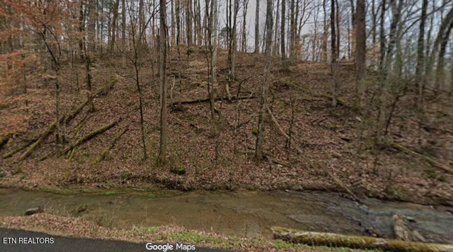 9025 Conner Road Powell, TN 37849 - Photo 13 of 18 Winter pic 2