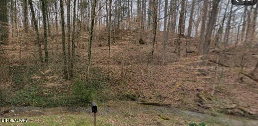 9025 Conner Road Powell, TN 37849 - Photo 14 of 18 Winter pic 3