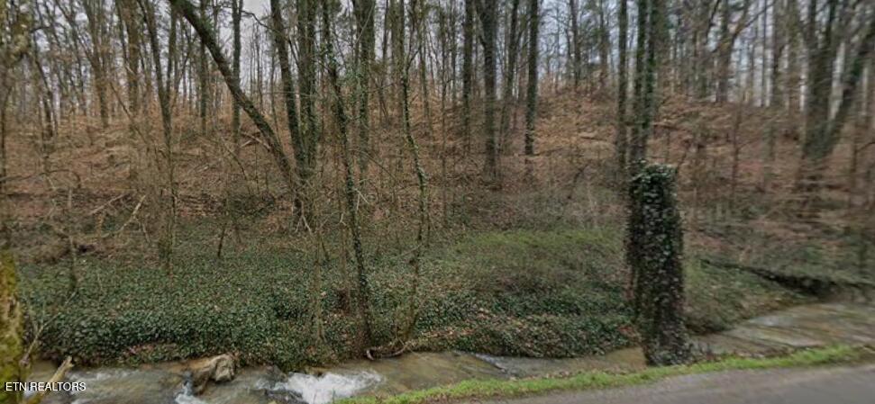 9025 Conner Road Powell, TN 37849 - Photo 15 of 18 Winter pic 4