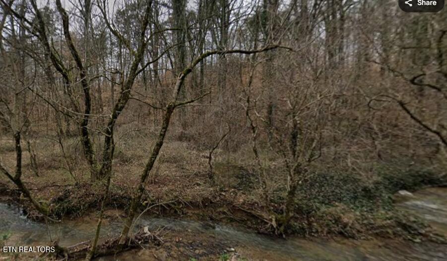 9025 Conner Road Powell, TN 37849 - Photo 16 of 18 Winter pic 6