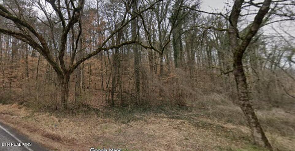 9025 Conner Road Powell, TN 37849 - Photo 17 of 18 Winter pic 5