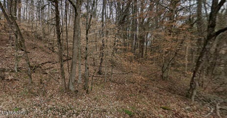 9025 Conner Road Powell, TN 37849 - Photo 18 of 18 Winter pic 7