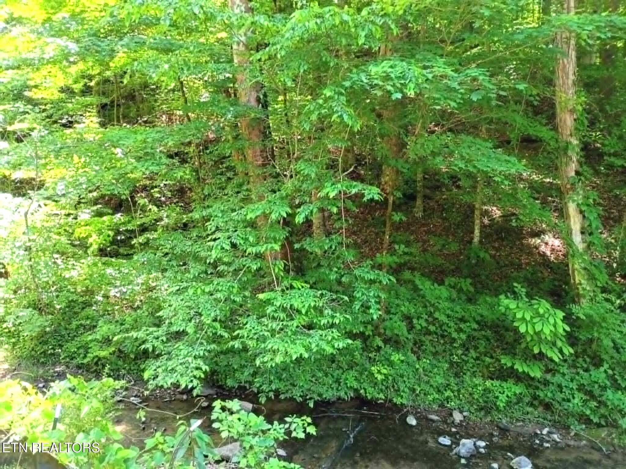9025 Conner Road Powell, TN 37849 - Photo 7 of 18 7