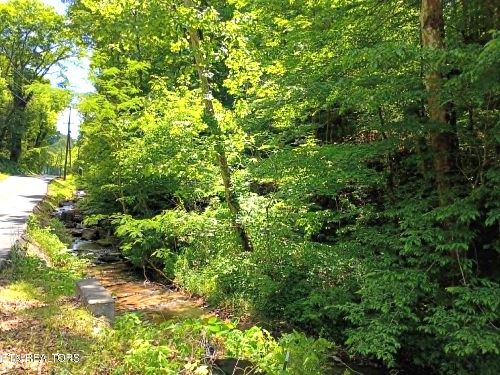 9025 Conner Road Powell, TN 37849 - Photo 10 of 18 10