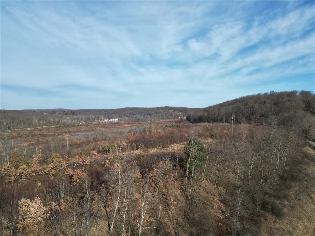238 Rikers Road Punxsutawney, PA 15767 - Photo 8 of 8 a view of a dry yard with green space
