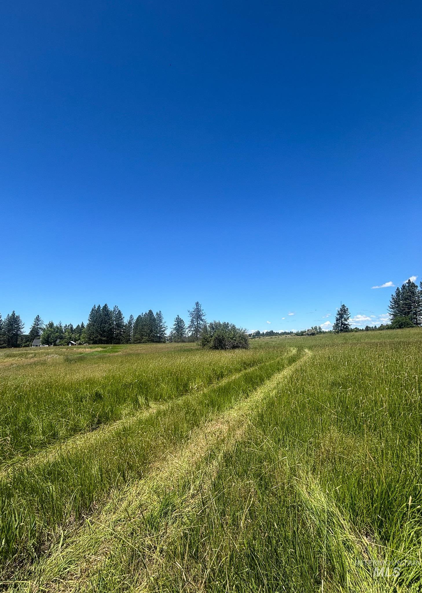 180 Williams Road Kooskia, ID 83539 - Photo 9 of 10