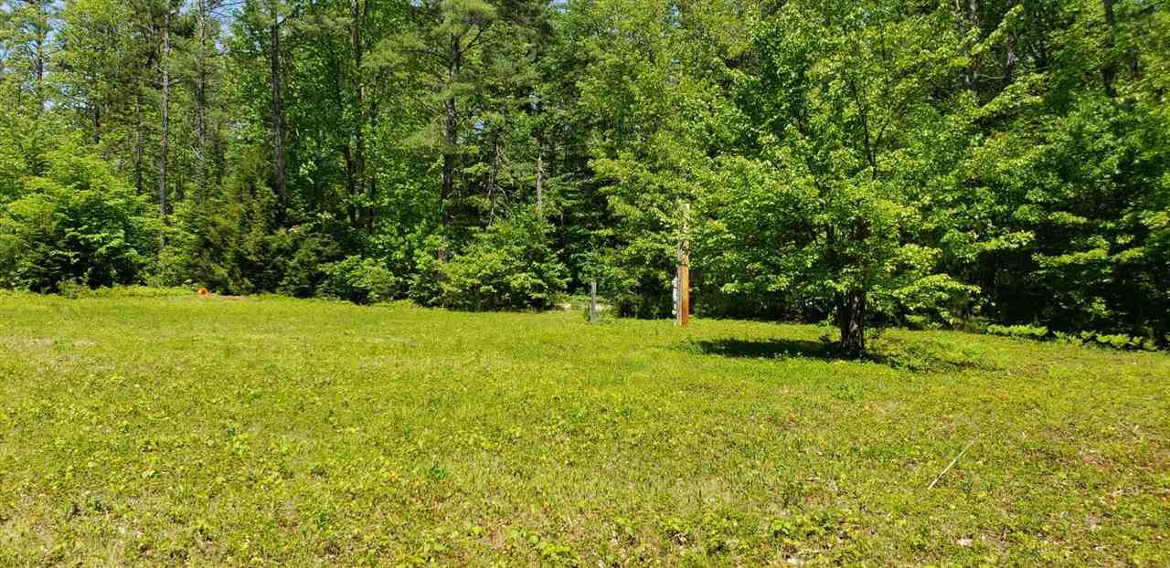 20 Pratt Road Effingham, NH 03882 - Photo 3 of 15