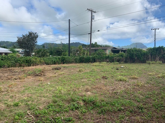 3533 Wailani Road Koloa, HI 96756 - Photo 2 of 4 Gallery Image 2