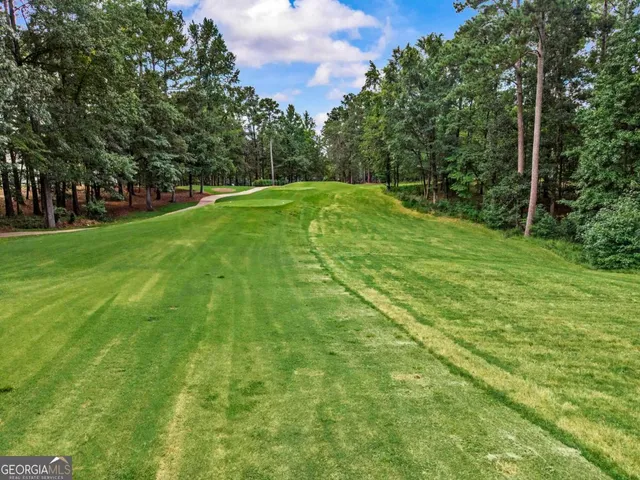 an aerial view of a house with outdoor space and street view