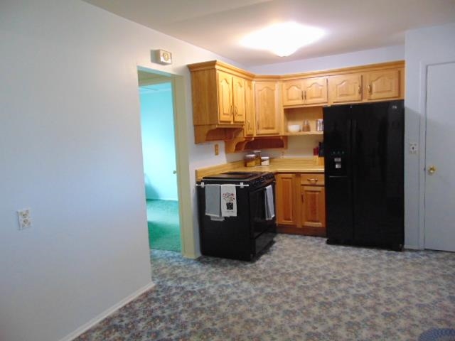 186 South Luce Road Ithaca, MI 48847 - Photo 17 of 60