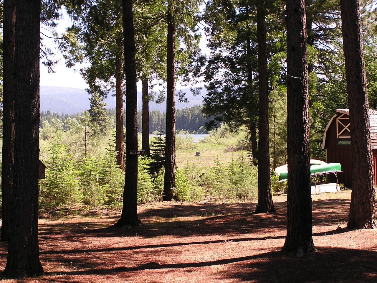 35250 Deer Flat Road Shingletown, CA 96088 - Photo 7 of 8 Lake View
