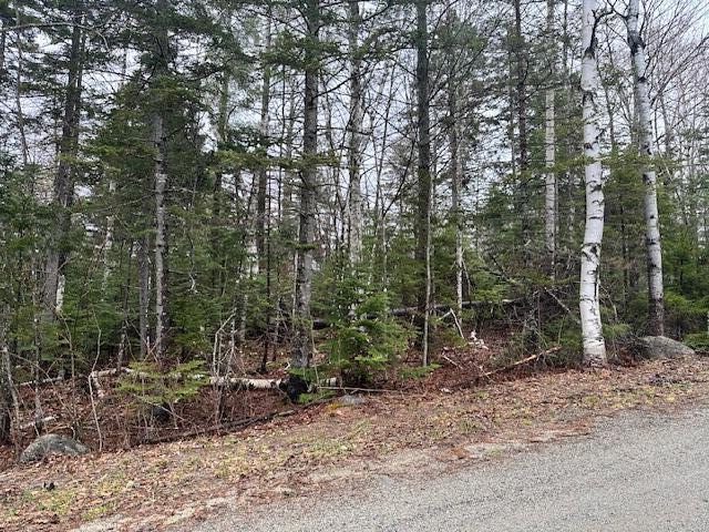 3012 Ridge Road Kingfield, ME 04947 - Photo 3 of 4 lot