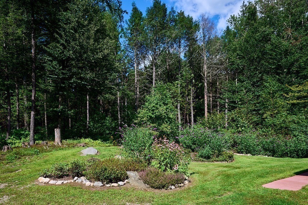 90 Patterson Road Worthington, MA 01098 - Photo 24 of 30 a garden with trees in front of it