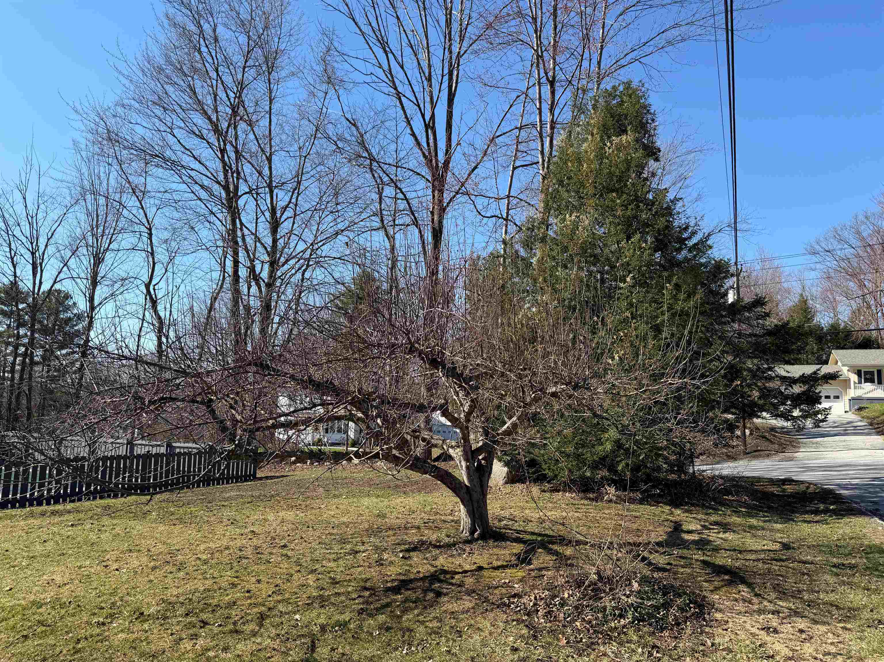 2 Robinwood Lane Rutland, VT 05701 - Photo 49 of 50